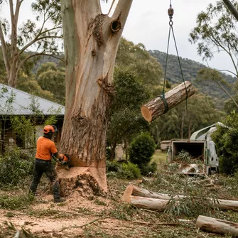 Land Clearing Avoca