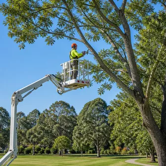 Tree Pruning Service in Bacchus Marsh