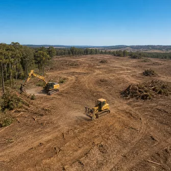 Land clearing for development in Clunes