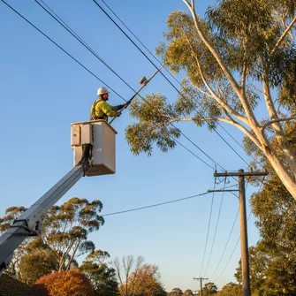 Tree lopping to clear power lines in Clunes