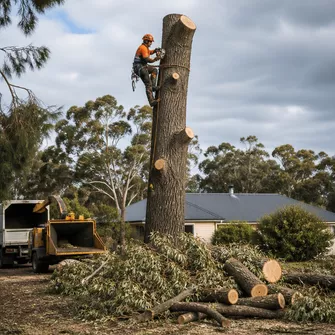 Stump grinding services in Dunnstown, VIC