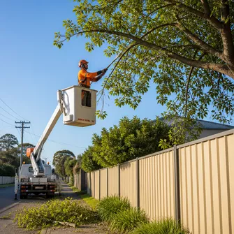 Tree Lopping in Lal Lal