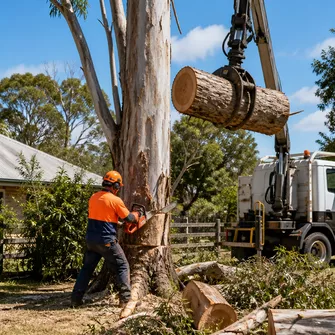 Land Clearing Learmonth