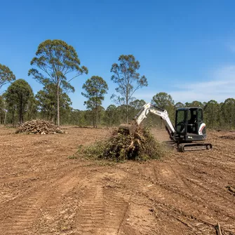 Land Clearing Project