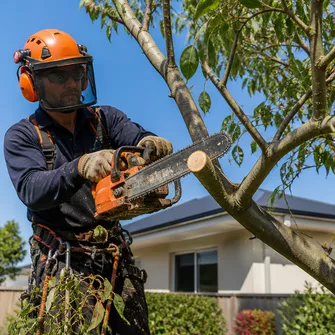 Residential Tree Lopping