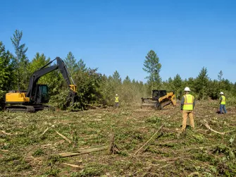 Land Clearing